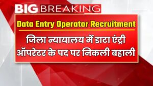 Data Entry Operator Recruitment 2024: जिला न्यायालय में डाटा एंट्री ऑपरेटर के पद पर निकली बहाली, यहाँ से करें आवेदन