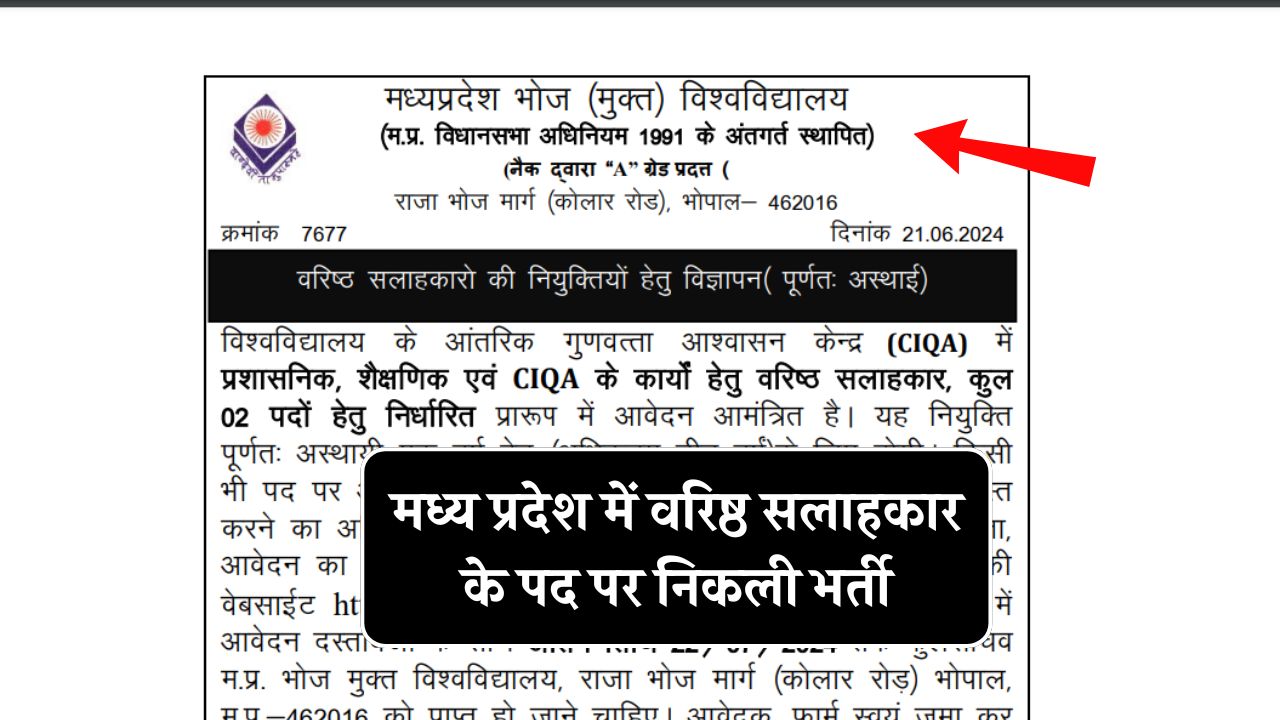 MP Bhoj University New Job 2024