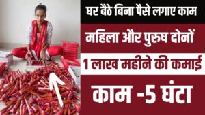 Work From Home Packing Job : बिना किसी लागत के तगड़ी कमाई करना चाहते हैं तो घर बैठे शुरू करें पैकिंग का काम, जानिए कैसे 