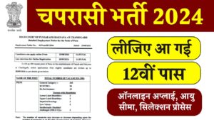 High Court Peon Recruitment 2024 : 12वीं पास युवाओं के लिए नौकरी की भरमार! चपरासी के कई पदों पर निकली छप्पर फाड़ भर्ती 